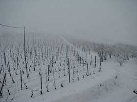 Agriturismo San Martino