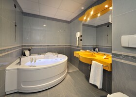 Blu Hotel Collegno - Sure Hotel Collection