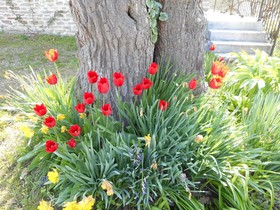 Agriturismo Cascina Serra