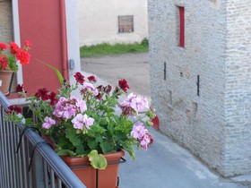 Agriturismo Schlin