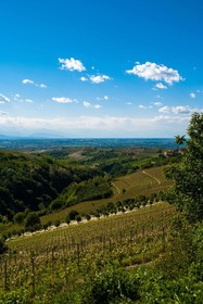 Agriturismo Schlin