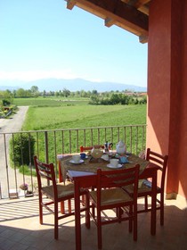 B&B Milu