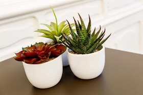 Best Western Plus Hotel Royal Superga