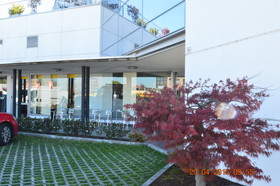 Dama Hotel