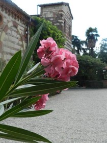 Castello Di Frassinello
