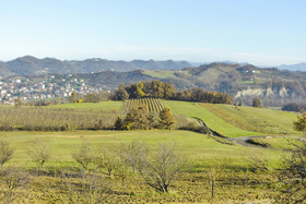 Vista Sul Forte