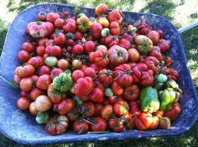 Agriturismo La Ca' D'Olga