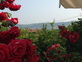 Agriturismo La Ca' D'Olga