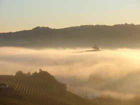 Azienda Agricola Erbaluna