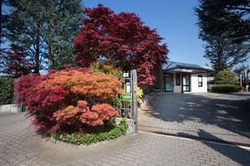 Airport Motel Malpensa