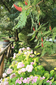 Locanda Del Molino Vecchio