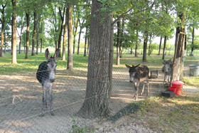Locanda Del Molino Vecchio