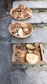Albergo Diffuso La Marmu