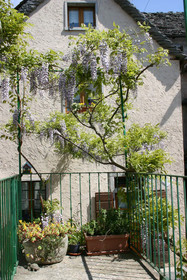 B&B Casa Tomà