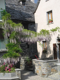 B&B Casa Tomà