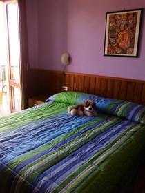La Capannina