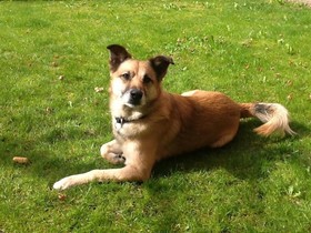 La Locanda Del Melograno