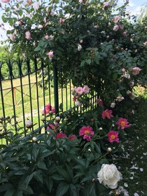 Villa Albengo B&B Di Charme