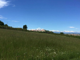 Villa Albengo B&B Di Charme