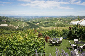 Agriturismo La Torricella