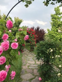 Residence Delle Rose