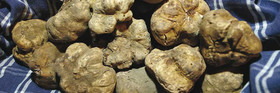 Rocche di Montexelo