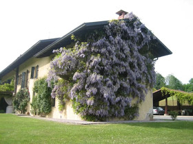 Antica Cascina Del Medico