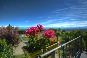 The Green Guesthouse