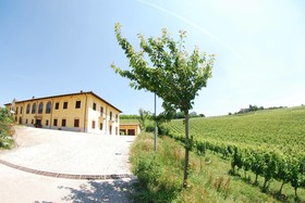 Tenuta La Romana