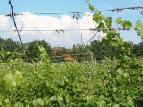 Agriturismo Cascina degli Ulivi