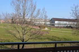 Ferriera 8