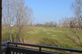 Ferriera 8