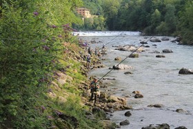 Albergo Ristorante Payarin