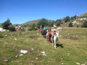 Albergo Ristorante Payarin