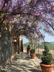 La Corte delle 4 Stagioni