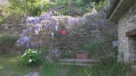 B&B La Civetta