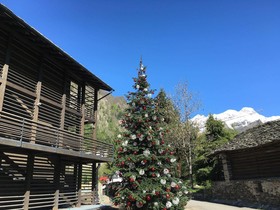 Mirtillo Rosso Family Hotel