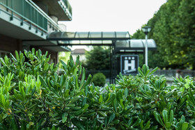 Hotel Davide
