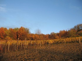 Agriturismo Cascina Tollu