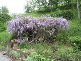 Agriturismo Cascina Tollu