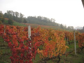 Agriturismo Cascina Tollu