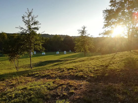 Future Is Nature Playground