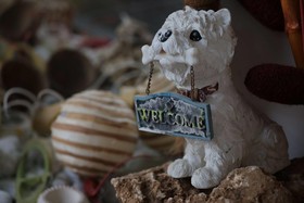 Bed & Breakfast Notte Stellata