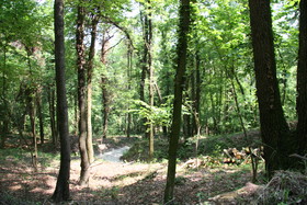 Villaggio Narrante - Hotel Le Case dei Conti Mirafiore