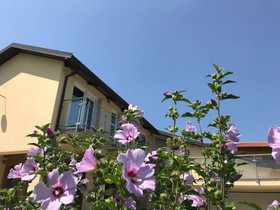 Maison Petit Perlage