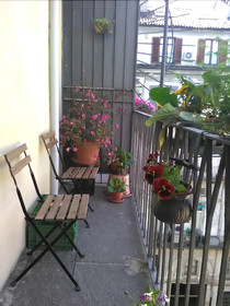 Attic Hostel Torino
