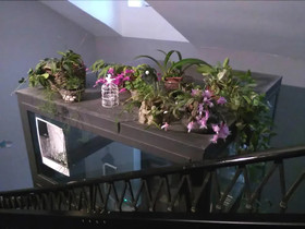 Attic Hostel Torino