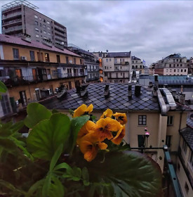 Attic Hostel Torino