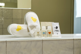 Du Parc Contemporary Suites
