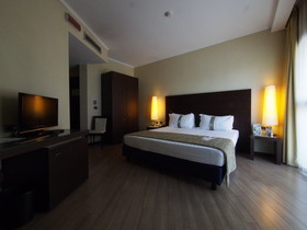 Holiday Inn Turin Corso Francia